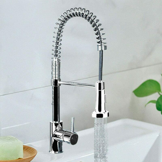 Day Plus - Chrome Monobloc Kitchen Sink Mixer Tap Swivel and Spring Spout Pull Out Hose Spray Single Lever Swan Neck Faucet, 10 Year Warranty