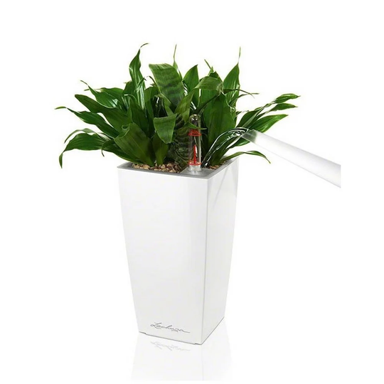 Mini Cubi Ceramic Plant Pot