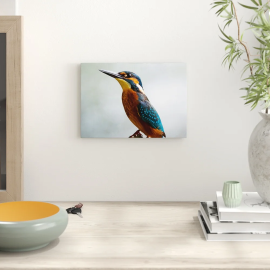 'Kingfisher Bird' Photographic Print