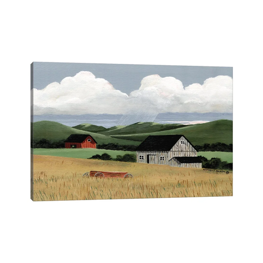 Summer Rain by Anthony Kleem - Graphic Art on Canvas
