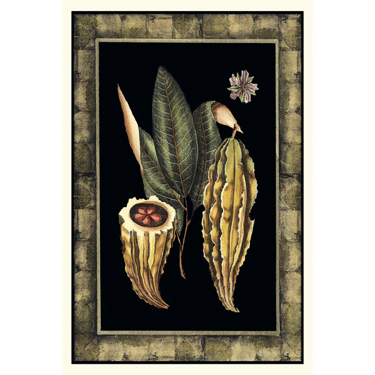 Tropical Bounty IV by Vision Studio - Wrapped Canvas Painting
