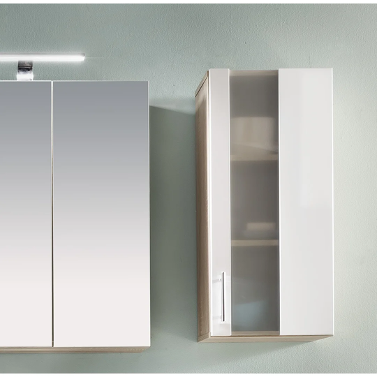 Kaweka 33cm x 70cm Mirrored Wall Mounted Cabinet