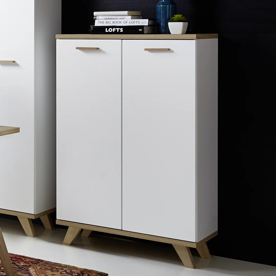 Oswaldo 2 Door Storage Cabinet