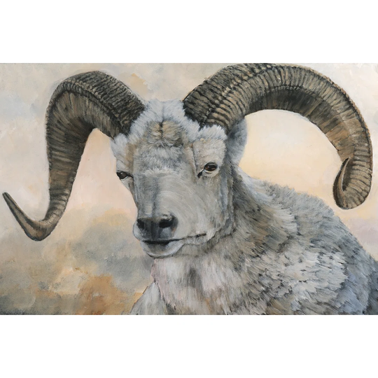 The Horns Have It II - Wrapped Canvas Art Prints