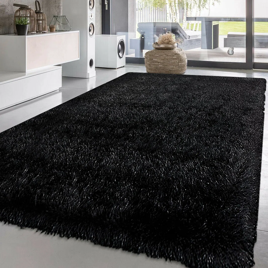 Labarbara Solid Colour Shaggy Black Indoor / Outdoor Area Rug