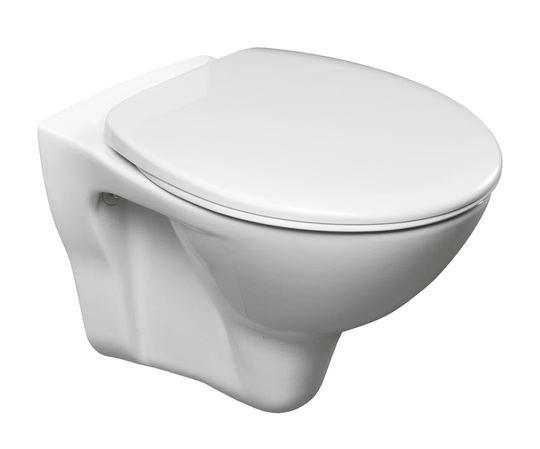 Schlesinger Wall Hung Toilet and Mounting Frame with Button Flush