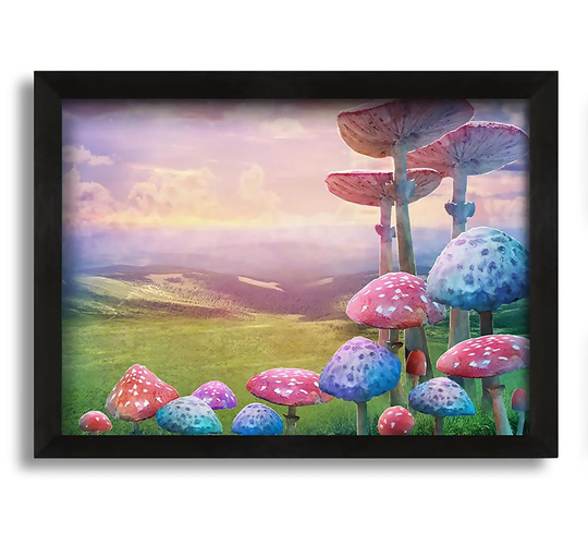 Tall Mushrooms In The Valley Framed Print