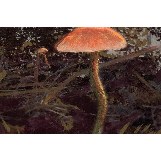 Forest Floor I