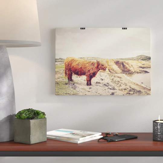 'Highland Cow Landscape' Photographic Print