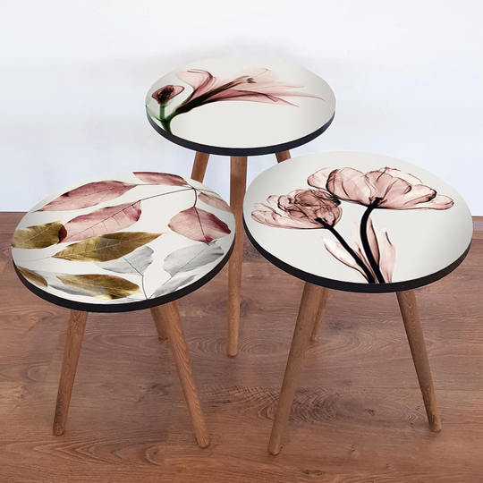 Benge 3 Piece Nest of Tables