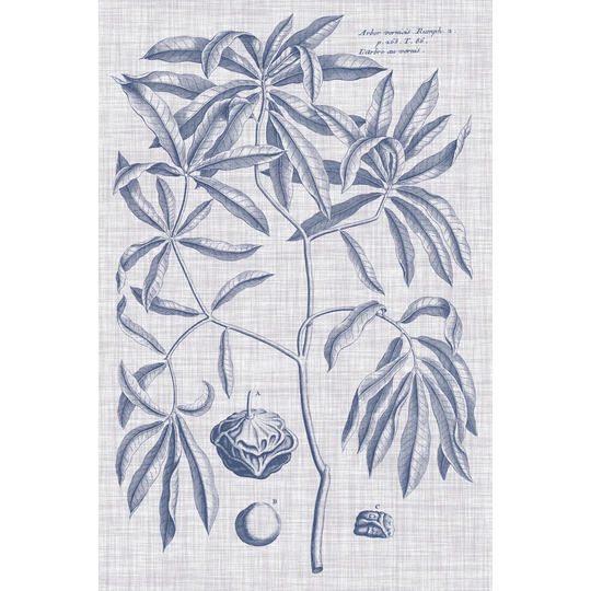 Navy & Linen Botanical V - Wrapped Canvas Graphic Art