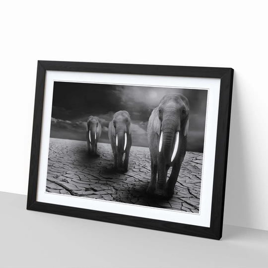 'Elephant 3' Framed Graphic Art