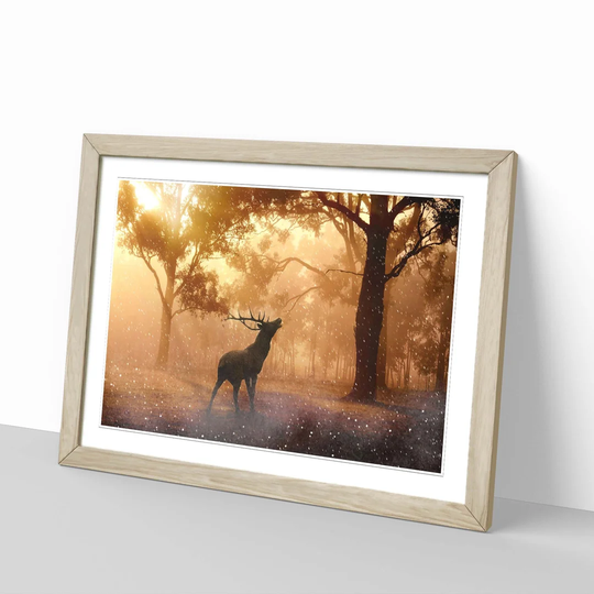 'Stag in an Autumn Forest Landscape' Framed Photographic Print