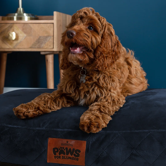 Slumberdown Paws for Slumber Small Pet Bed