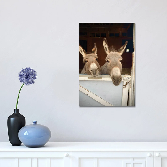 Pair of Donkeys by Susan Vizvary - Photograph on Canvas
