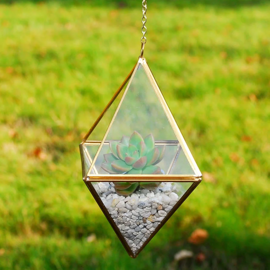 Crites Glass Terrarium