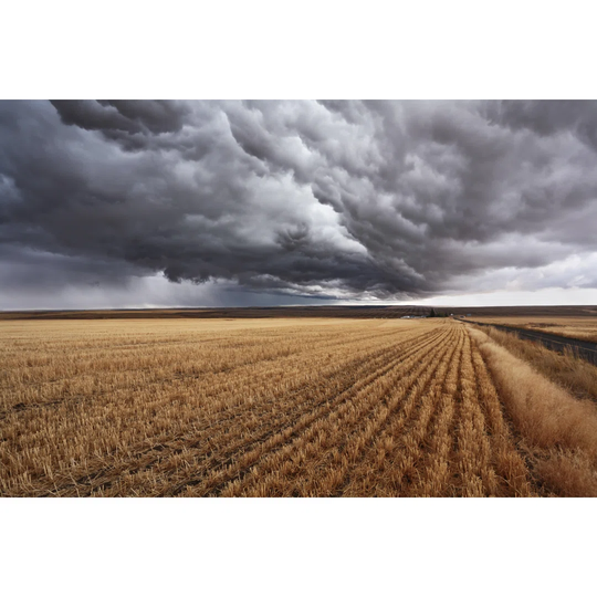 Impending Storm in a Field in Montana USA by Kavram - Wrapped Canvas Photograph