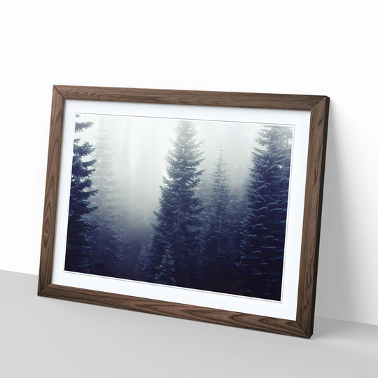 'Landscape Fir Tree Forest' Framed Photographic Print