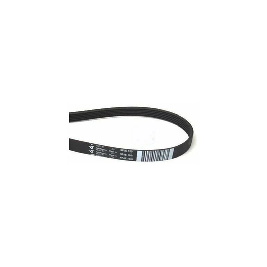 Washing machine 1201-1198 J6 Elastica C00119126 Original