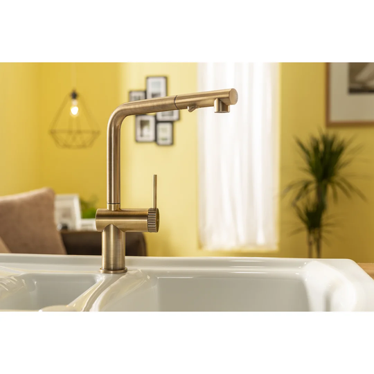Fraction Pull Out Single Lever Monobloc Tap