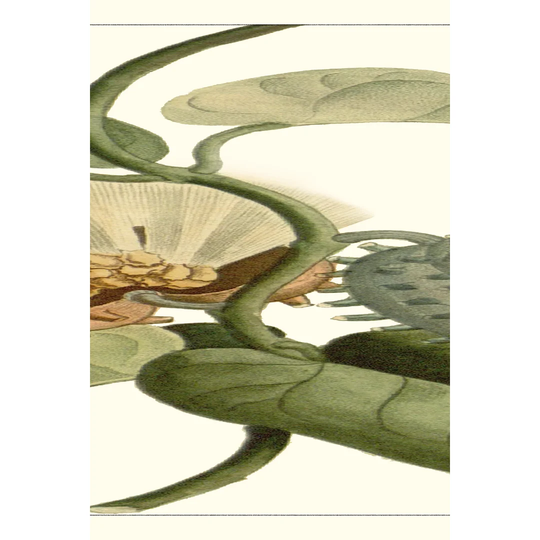 Exotic Botanical V by Turpin - Wrapped Canvas Painting