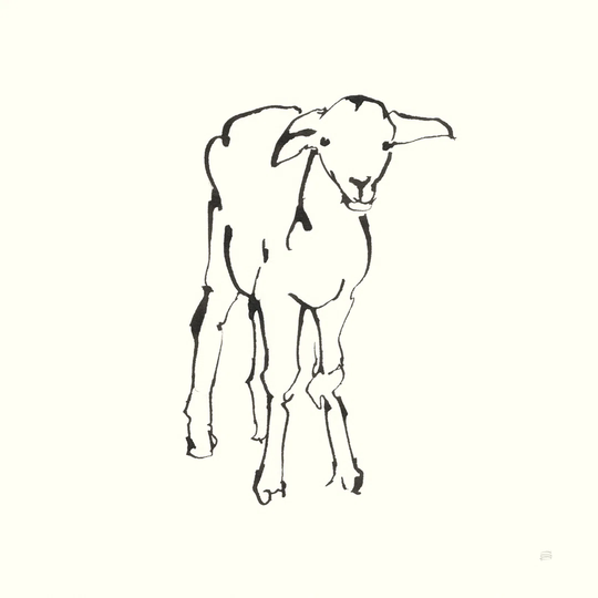 Line Lamb by Chris Paschke - Wrapped Canvas Painting Print