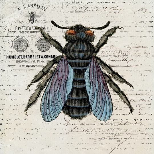 History Bee II - Unframed Painting