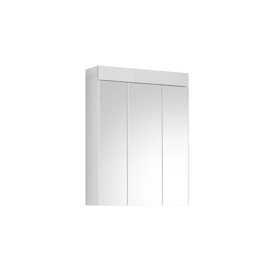 Breea 60cm x 79cm Surface Mount Mirror Cabinet