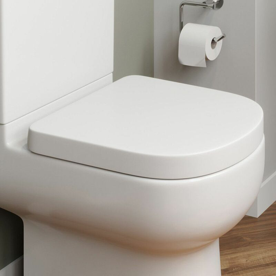 Bathroom Toilet Seat Slow Soft Close Anti-Slam d Shape Top Fix Hinges White - White