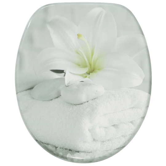 Good Feeling Soft Close Elongated Toilet Seat