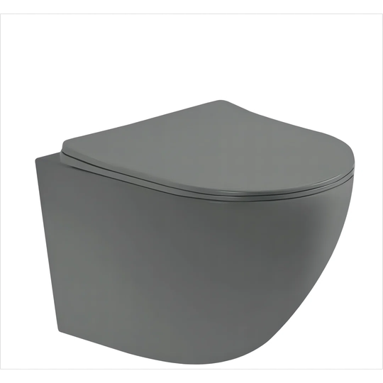Weintraub Wall Hung Toilet