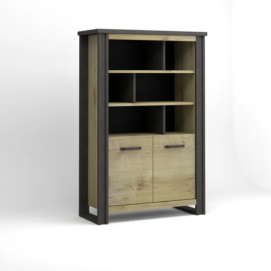 Tarun 2-Door 4-Shelf Storage Cabinet