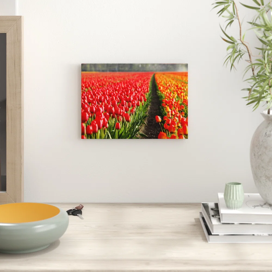 'Red Tulip Field Flowers Landscape' Graphic Art