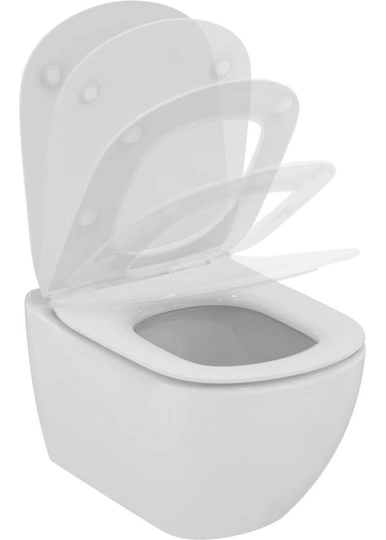 Schrimsher Wall Hung Toilet with flush
