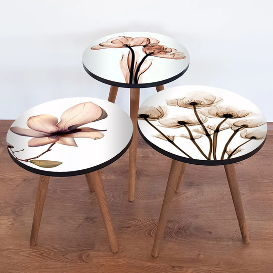 Barnette 3 Piece Nest of Tables