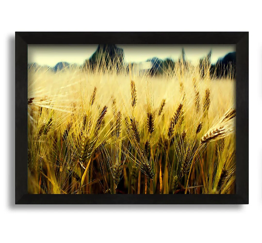 Yellow Grain - Picture Frame Graphic Art on Canvas