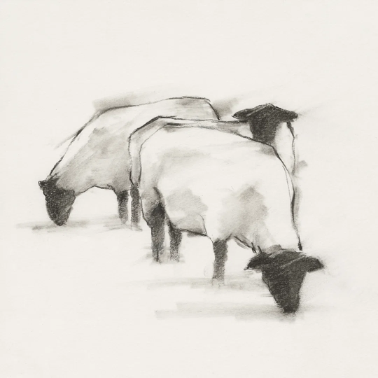 Folksie Sheep II