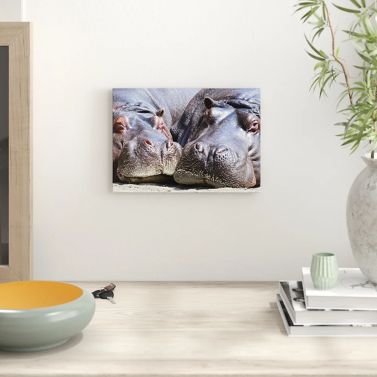 'Two Hippos Hippopotamus' Photographic Print