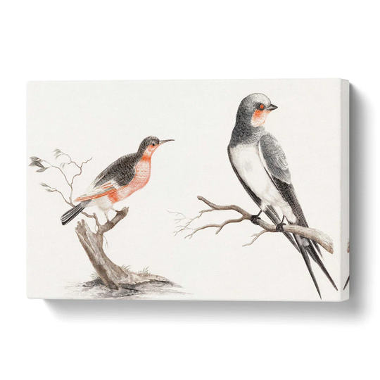 'Songbird & Bee-eater Bird' by Johan Teyler - Wrapped Canvas Painting Print