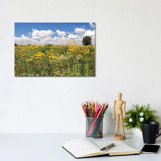 Prairie Flowers by Brian Wolf - Wrapped Canvas Photograph