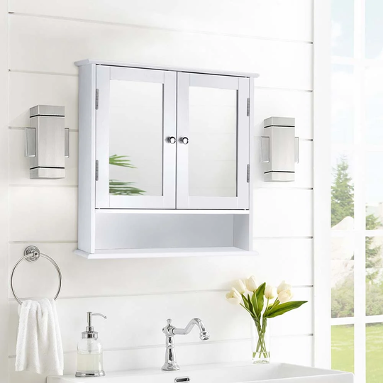 Dampier 56cm x 58cm Surface Mount Mirror Cabinet