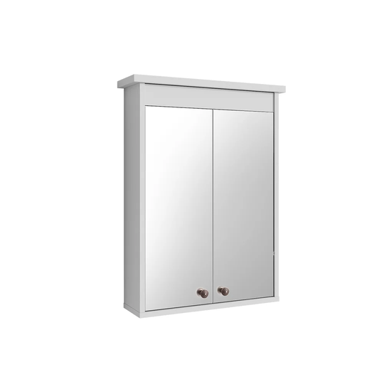 Jayda 54 x 73cm Mirrored Wall Mounted Cabinet