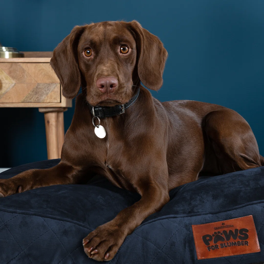 Slumberdown Paws for Slumber Medium Pet Bed