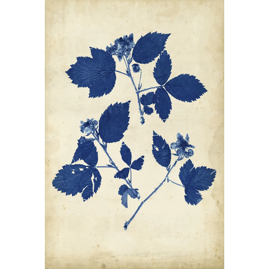 Indigo Leaf Study VI by Vision Studio - Wrapped Canvas Graphic Art