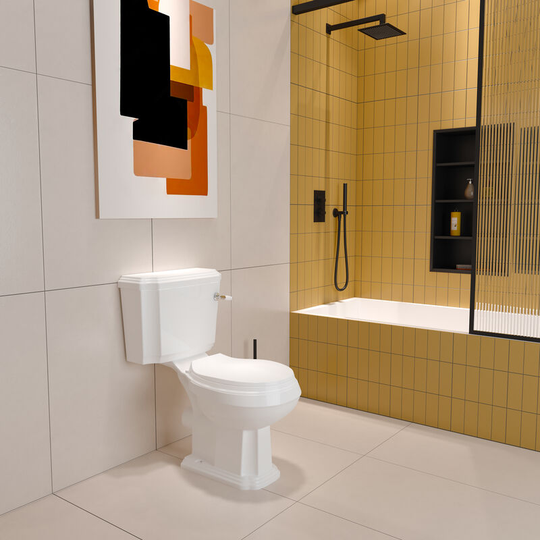 Traditional Toilet Close Coupled Ceramic Pan Cloakroom Soft Close Seat Bathroom