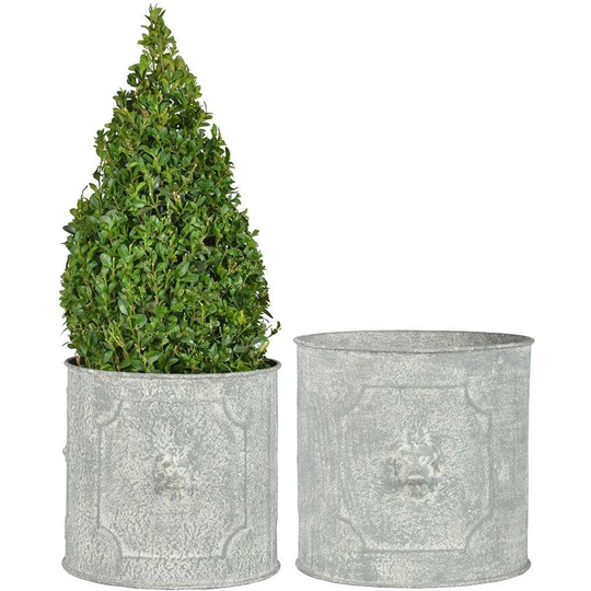Round Flowerpot Lion (Set Of 2)