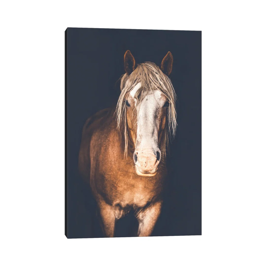 Belgian by Rupa Sutton - Wrapped Canvas Photograph