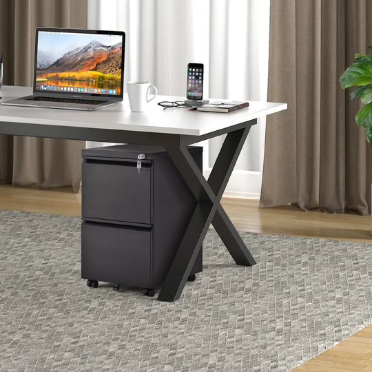 Oleg 2 Drawer Filing Cabinet