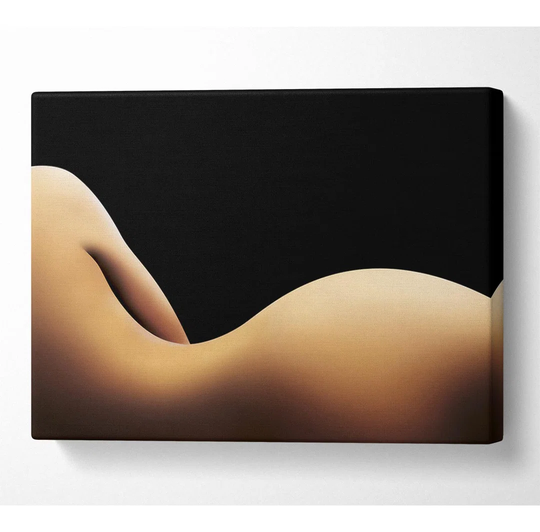 Curviture of the Body - Wrapped Canvas Photograph
