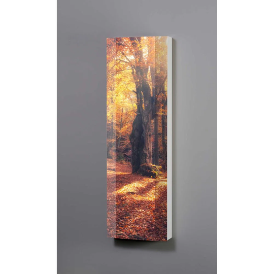 Ilaina 45Cm W x 145Cm H x 18Cm D Wall Mounted Bathroom Cabinet
